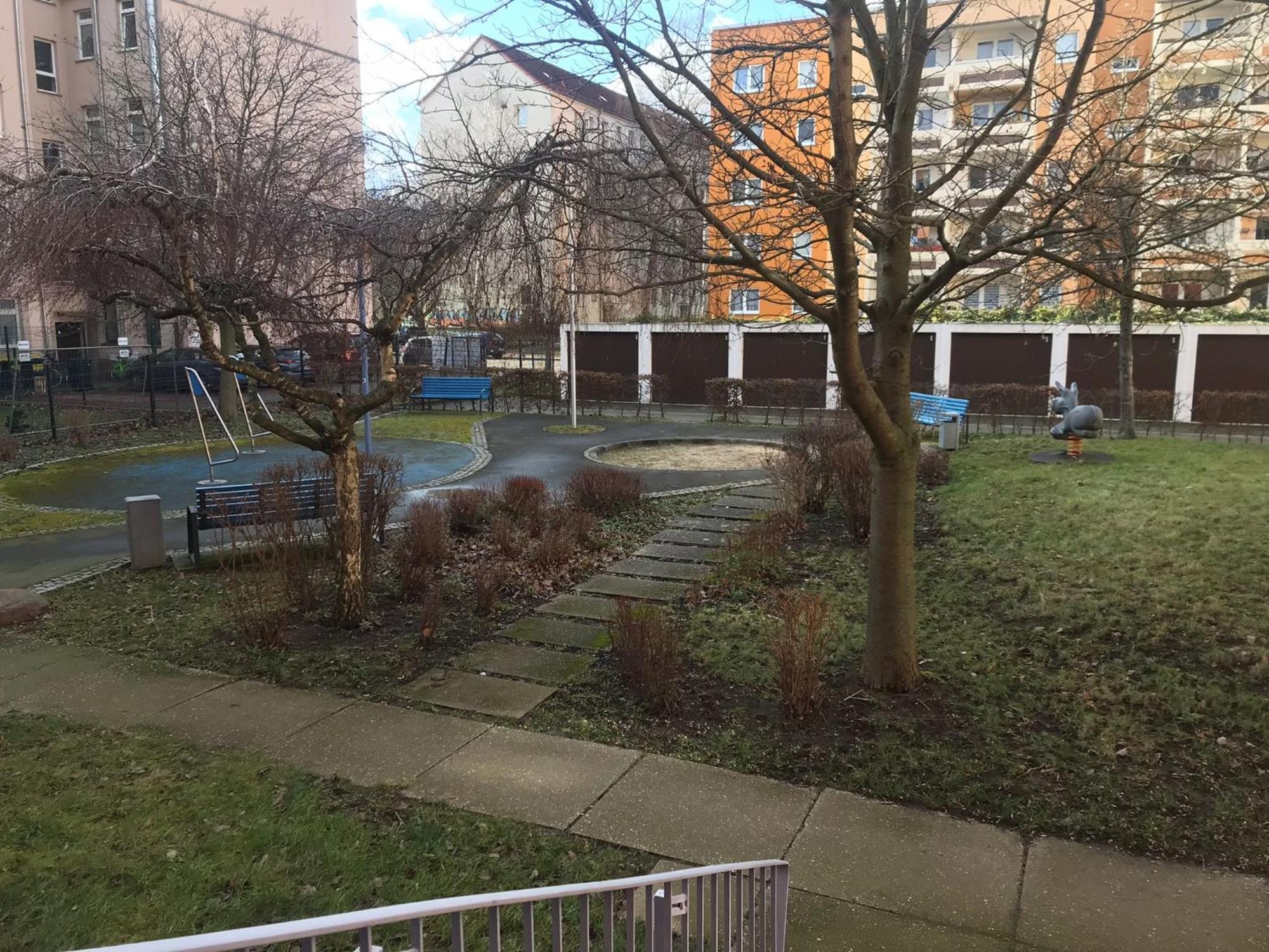 The Urban Oasis *